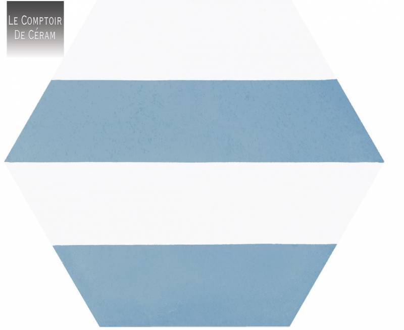 carrelage bleu et blanc hexagonal 25 x 25 cm rennes 35