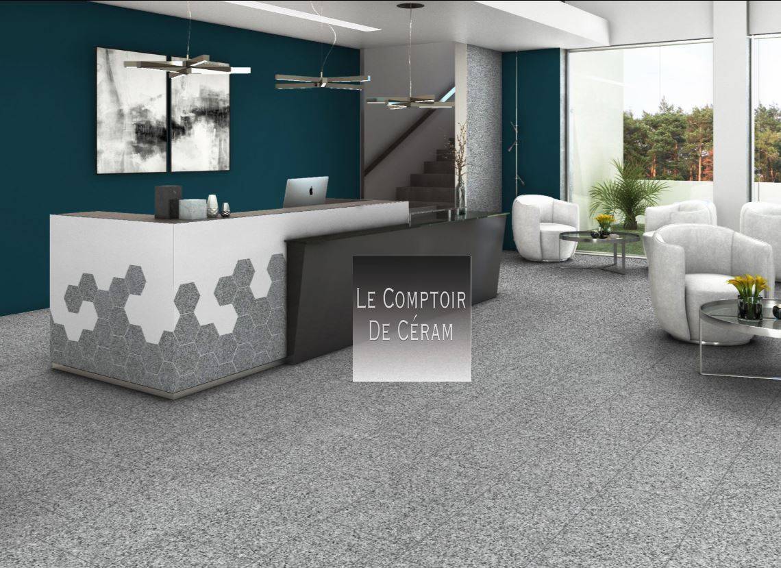 carrelage granito hexagonal gris sol et mur paris 75