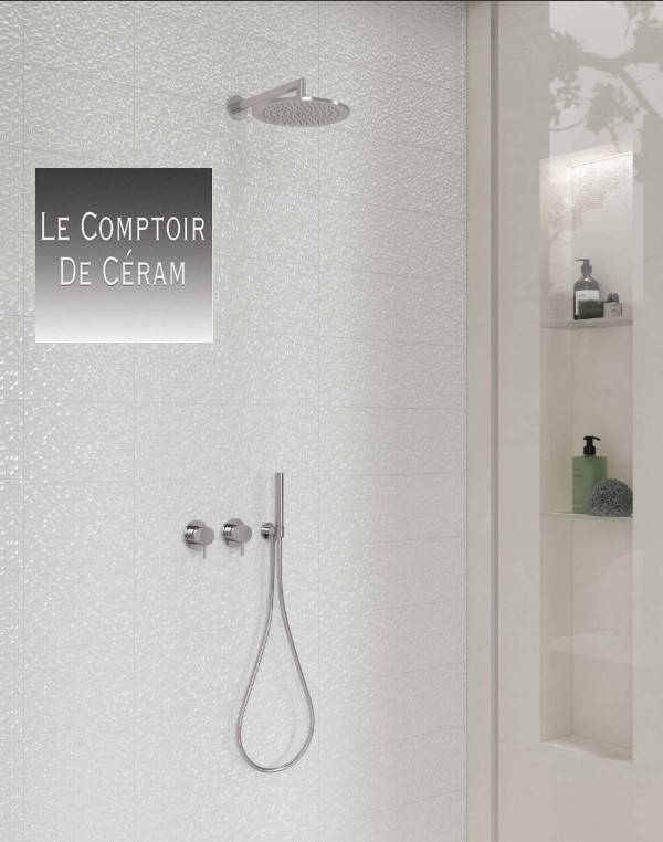 mosaïque blanche brillante 20 x 30 cm  pas cher paris 75