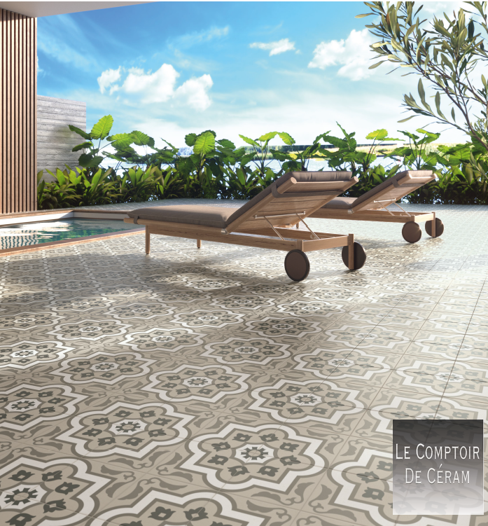 CARRELAGE POUR EXTERIEUR R10 A MOTIFS VINTAGE 20 X 20 CM DOLE 39