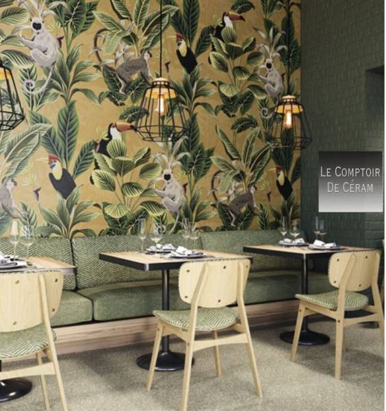 CARRELAGE MURAL TROPICAL TOUCANGRAND FORMAT  MARSEILLE 13