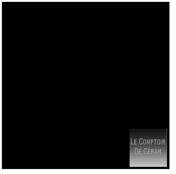 CARRELAGE MURAL NOIR BRILLANT 15 X 15 CM PETIT PRIX LAVAL 53