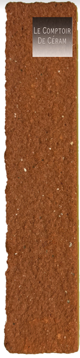 brique à l ancienne terracotta 5 x 23 cm tendance Lyon 69