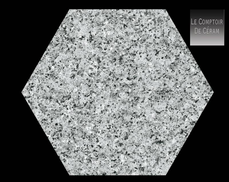 carrelage terrazzo gris interieur et exterieur R11 bordeaux 33