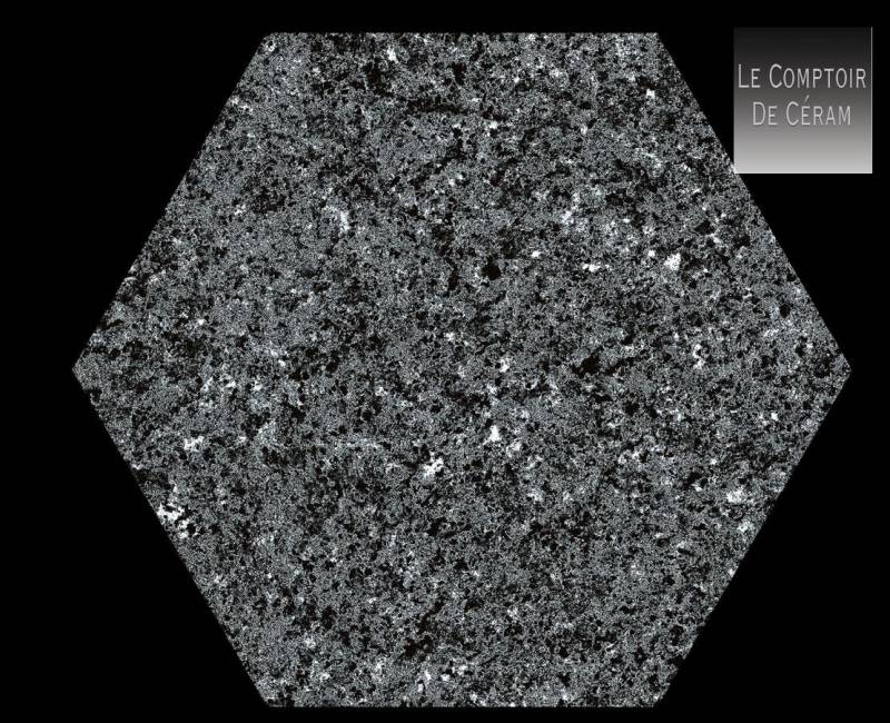 carrelage effet granito noir hexagonal anti derapant R11 Haut de seine 92