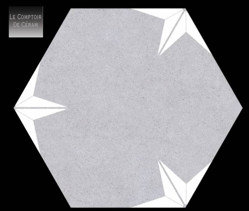 CARRELAGE HEXAGONAL SOL ET MUR ETOILE BLANCHE ET GRISE LILLE 59