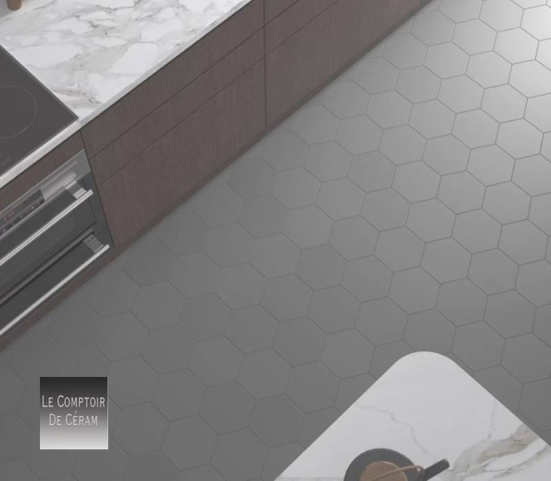 carrelage sol tomette uni gris foncé 2024 perpignan 66