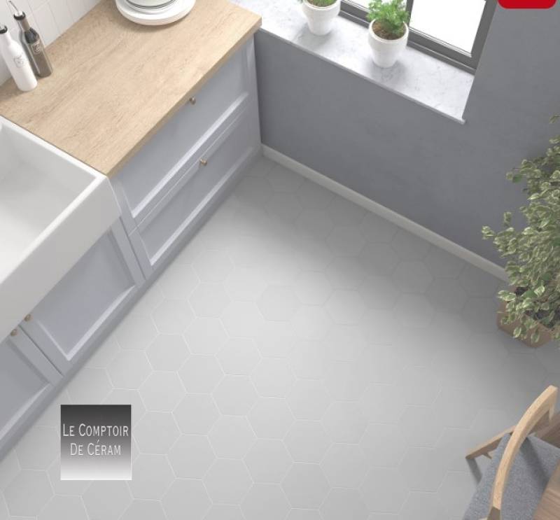 carrelage tomette uni gris petit prix 2024 Lille 59