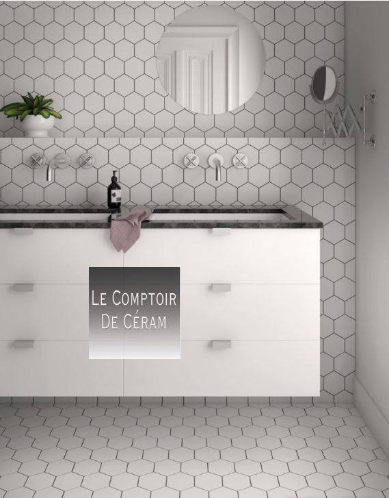 CARRELAGE HEXAGONAL BLANC UNI 11 X 10 CM POUR SOL ET MUR NIMES 30