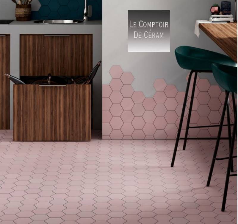 TOMETTE SOL ET MUR ROSE LYON 69