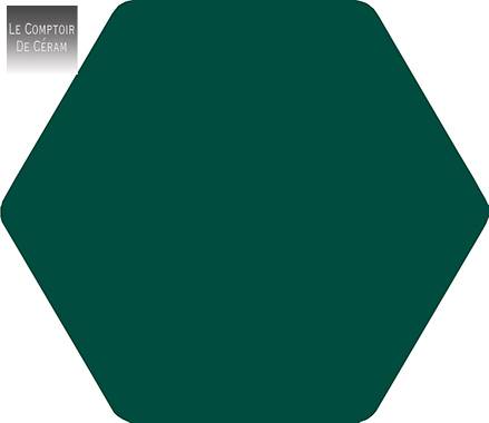 carrelage hexagonal vert grand format 25.8 x 29 cm lille 59