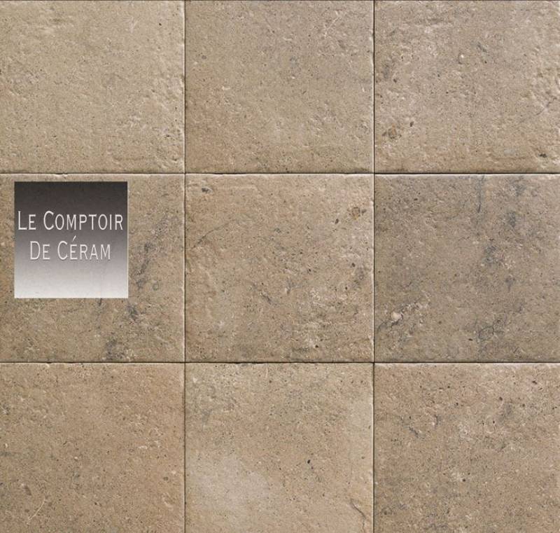 carrelage coloris sable pour exterieur 20 x 20 cm rennes 35