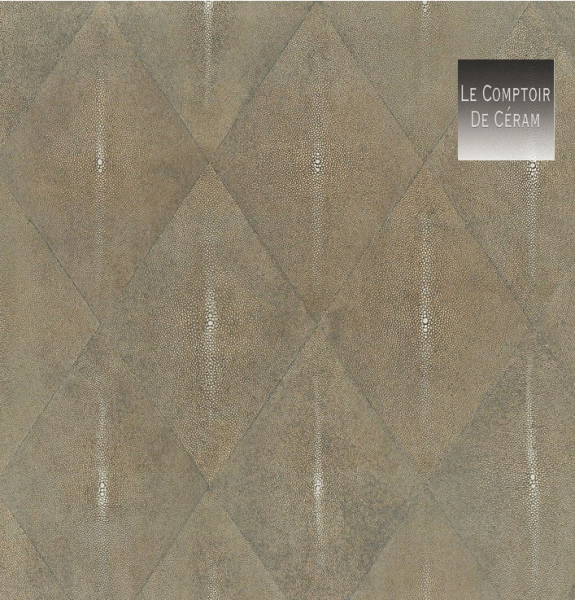 carrelage aspect brillant marron taupe pour terrasse et piscine R11 cap d agde 34