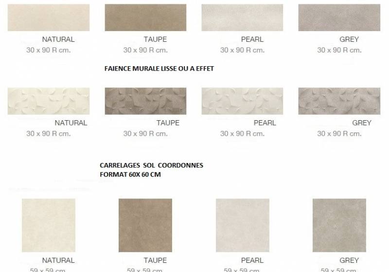 CARRELAGE MURAL EFFET PIERRE GRAND FORMAT BORDEAUX 33