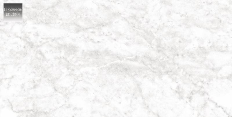 CARRELAGE EFFET MARBRE BLANC POUR TERRASSE CANNES 06