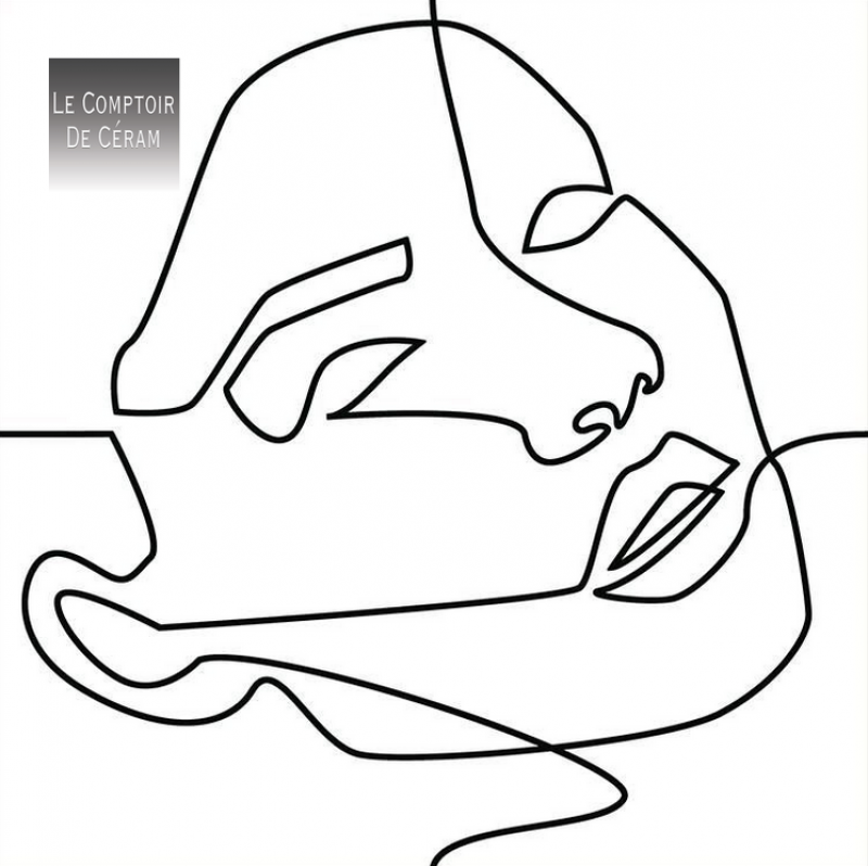 carrelage sol, et mur motifs face line montpellier 34