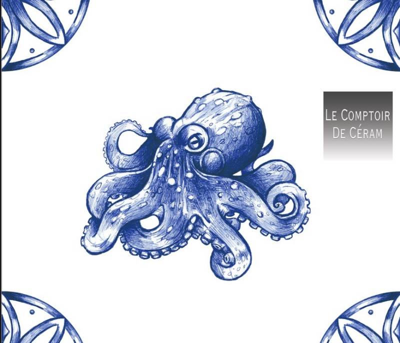 carrelage ambiance bord de mer pour restaurant Nice 006