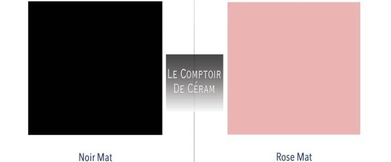 carrelage mural 12 couleurs unies 10 x 10 cm Lyon 69