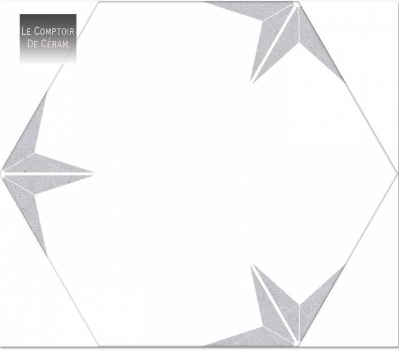 CARRELAGE SOL ET MUR HEXAGONAL ETOILE BLANCHE LYON 69