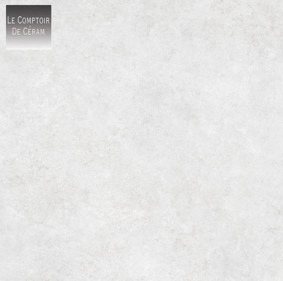 carrelage gres cerame R9 anti derapant beton 60 x 120 cm valence 26