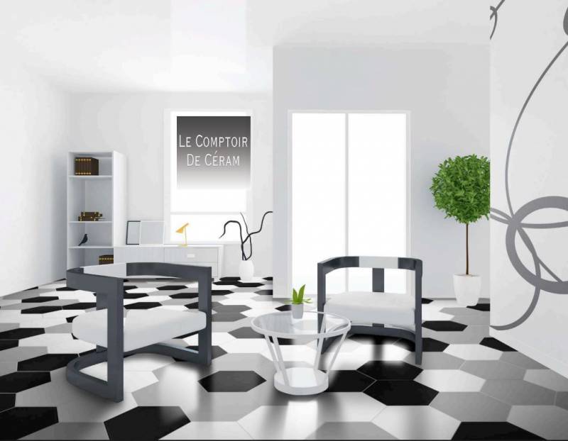 tomette hexagonale uni gris noir blanc lille 59