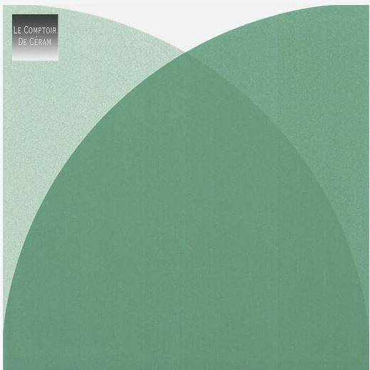 carrelage 24 x 24 cm sol et mur vert blanc grenoble 38