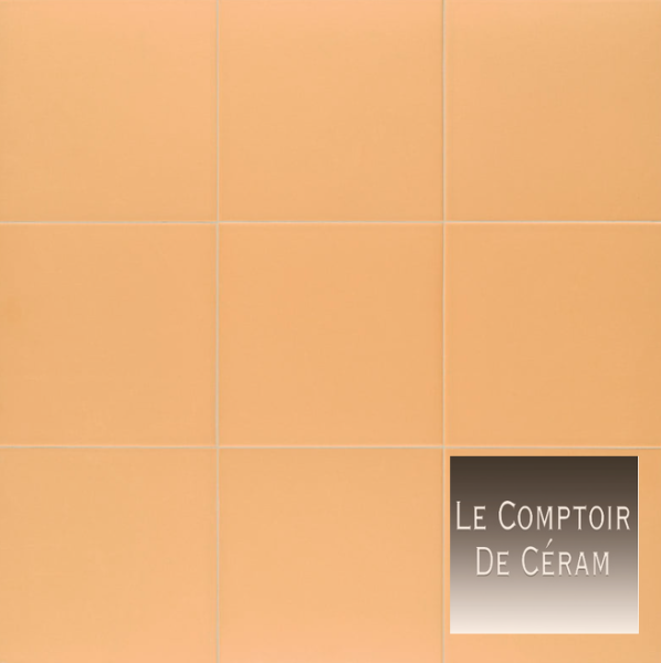 carrelage sol intérieur et extérieur antidérapant R10 saumon paris 75