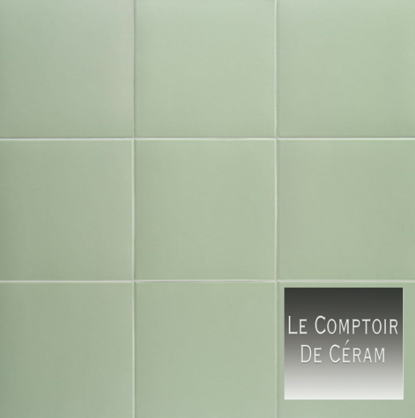 carreaux grès cérame 20 x 20 cm intérieur et extérieur vert olive Dijon 21