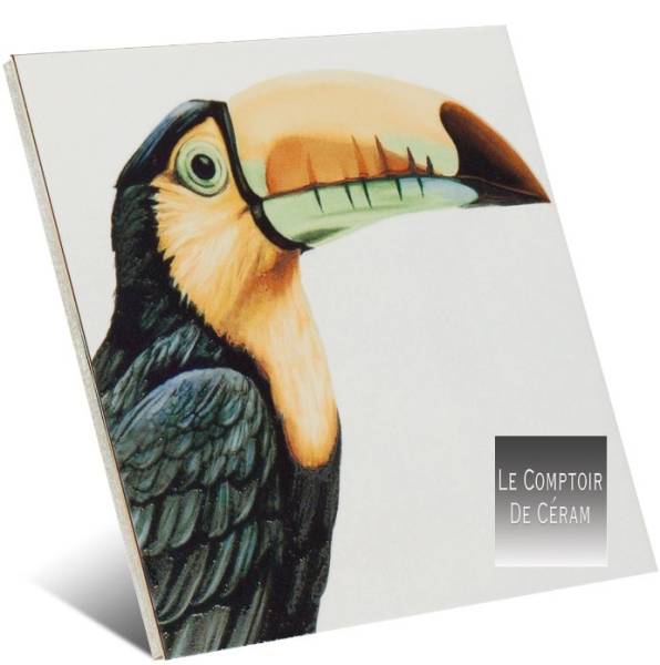 CARRELAGE TOUCAN DESIGN CANNES 06