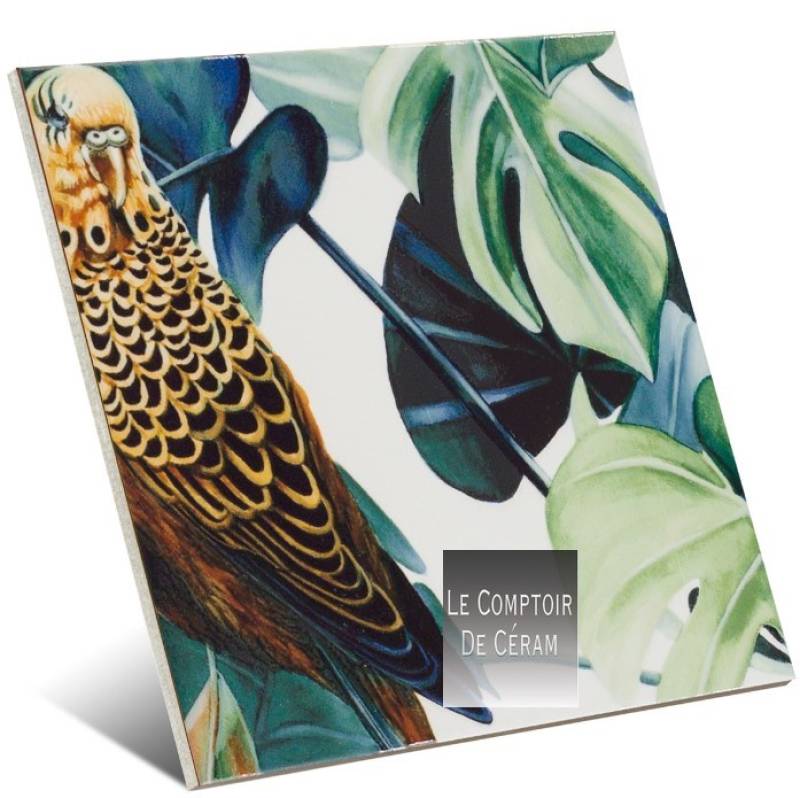 FAIENCE MURALE MOTIFS TROPICAL 20 X 20 CM RENNES 35