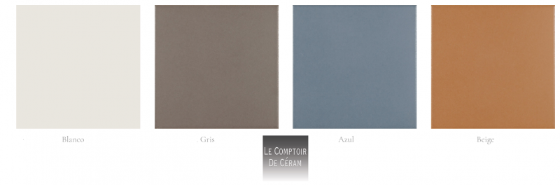 carrelage damier bleu blanc gris terracotta petit prix dijon 21