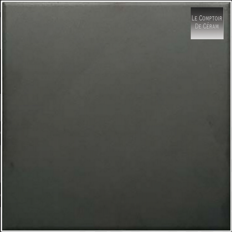 carrelage noir pour terrasse extérieure 20 x 20 cm 2025 lyon 69