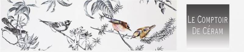 CARRELAGE MURAL EFFET TROMPE OEIL OISEAU DESIGN NIMES 30